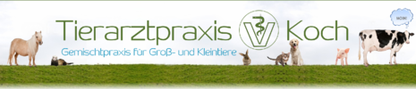 Tierarztpraxis Koch - Logo