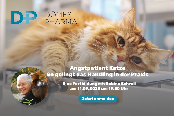 Dômes Pharma Anxiety Range