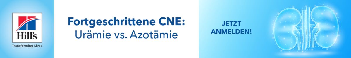 Hills 5 / 2025: späte CNE