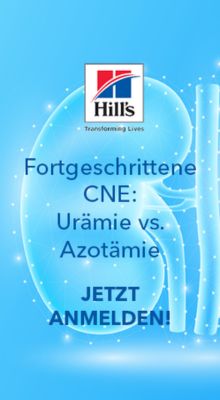 Hills 5 / 2025: späte CNE