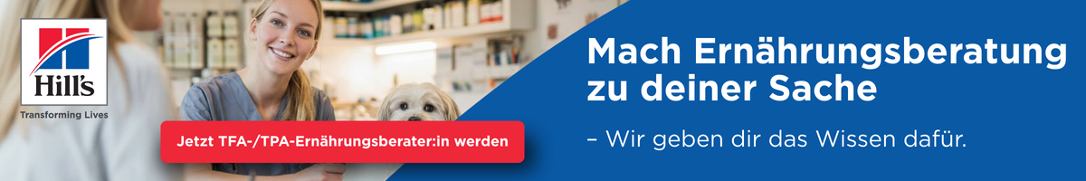 Hills 6 / 2026: TFA-Kampagne