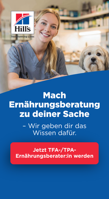 Hills 6 / 2026: TFA-Kampagne