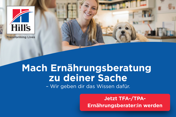 Hills 6 / 2026: TFA-Kampagne