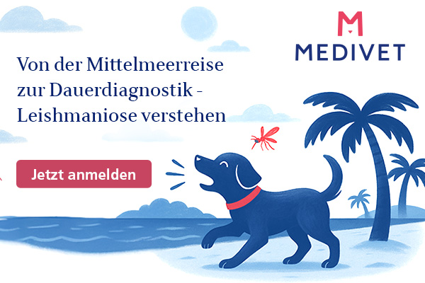 Medivet Kampagne 1/2025 FoBi