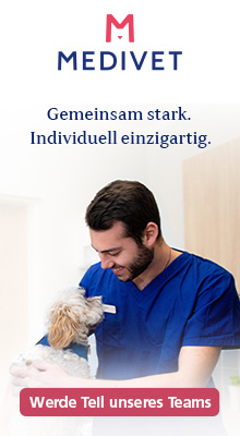 Medivet Kampagne 1/2025 Recruiting (Bannerwechsel)