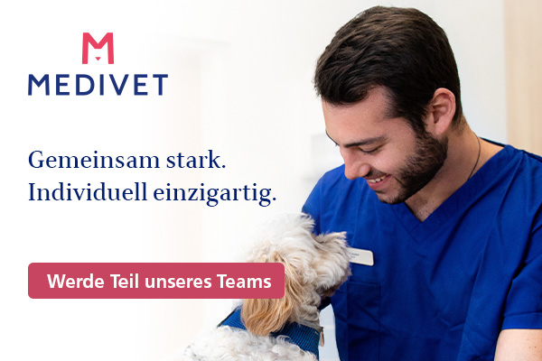 Medivet Kampagne 1/2025 Recruiting (Bannerwechsel)