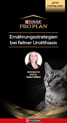Purina 3 Webinar 3: Feline Urolithiasis