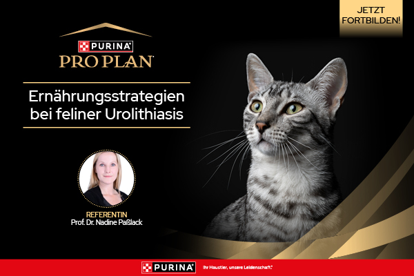 Purina 3 Webinar 3: Feline Urolithiasis
