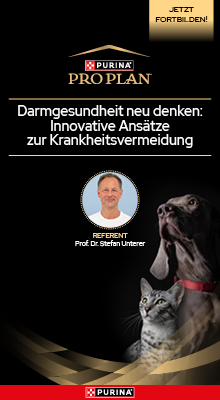 Purina 4
