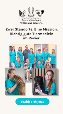Revierpfotenteam_Recruitingkampagne