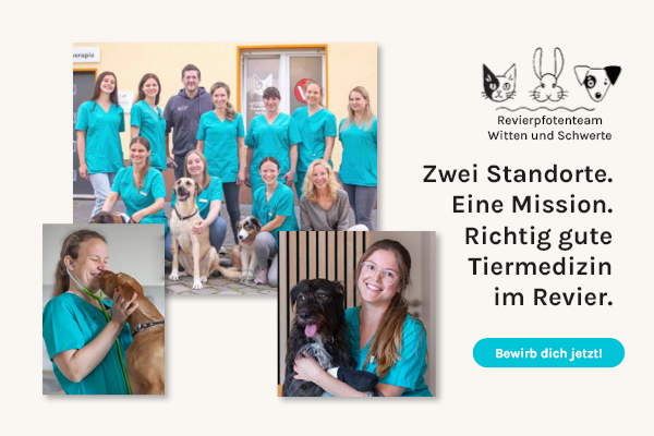 Revierpfotenteam_Recruitingkampagne