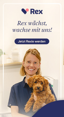 Rex Jahreskampagne 3
