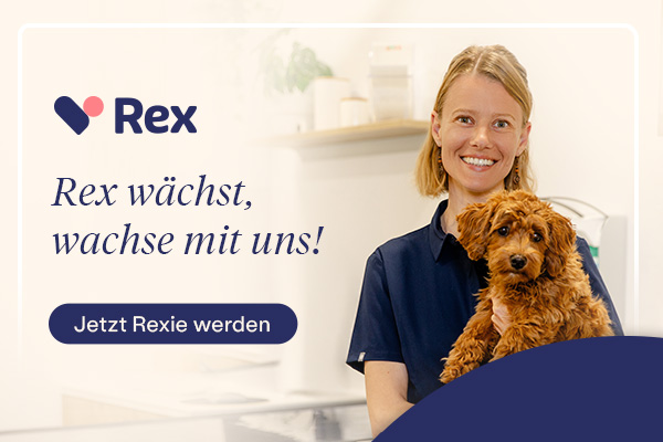 Rex Jahreskampagne 3
