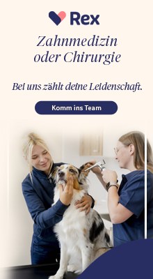 Rex Jahreskampagne 4
