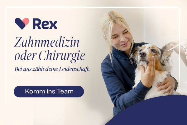 Rex Jahreskampagne 4