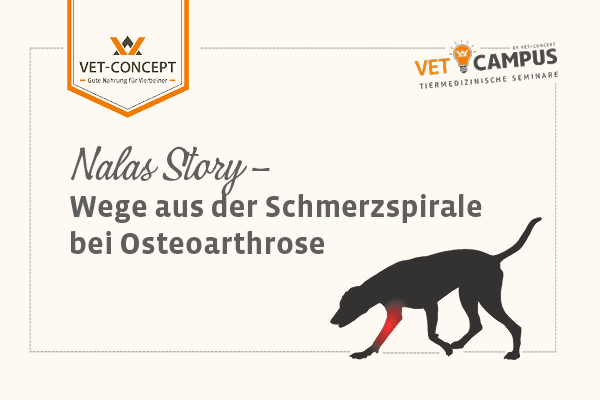 Vet-Concept Kampagne 1/2025