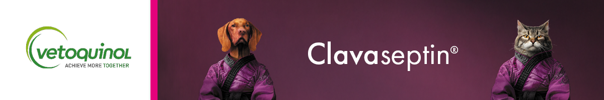 Vetoquinol_Clavaseptin