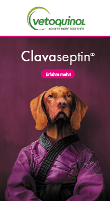 Vetoquinol_Clavaseptin