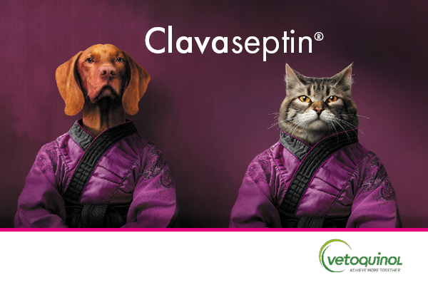 Vetoquinol_Clavaseptin