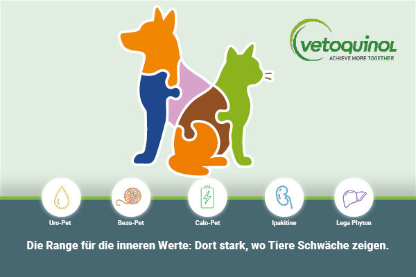 Vetoquinol_Innere Werte
