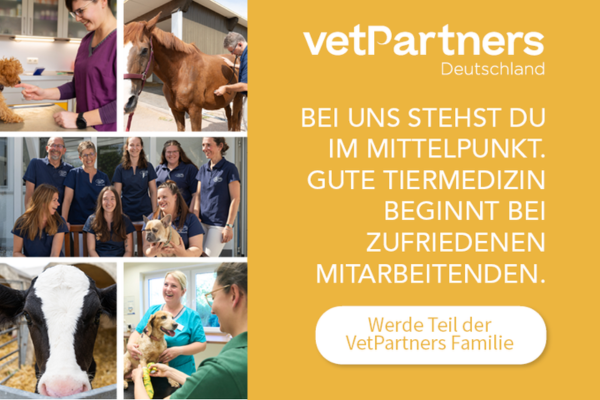 VetPartners 4 Bannerwechsel