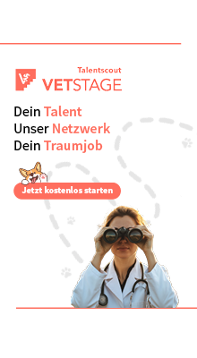 VetStage Talentscout 2025