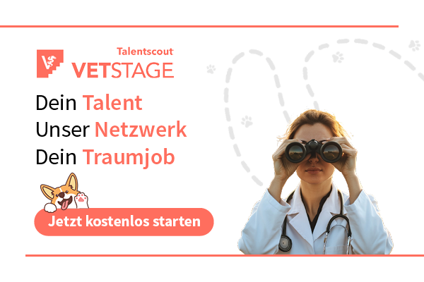 VetStage Talentscout 2025