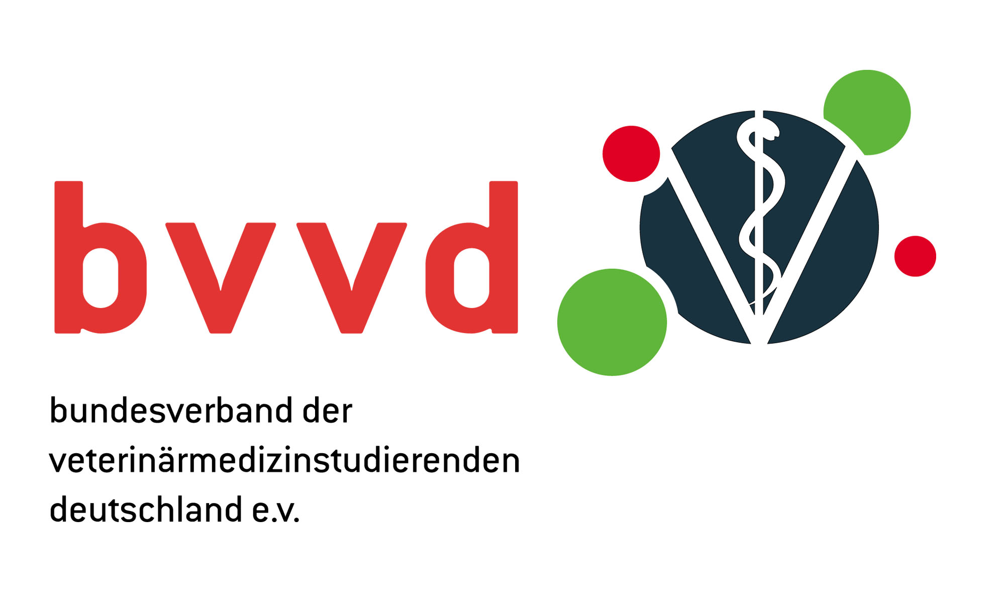Bvvd Logo