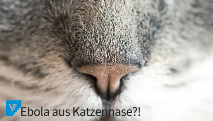Ebola Und Haustiere – Von Fehlendem Wissen Und Reaktionen Aus Angst