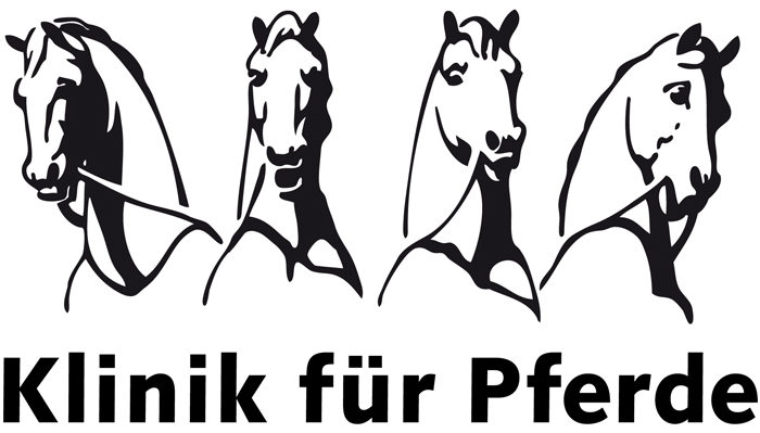 Weiterbildender Studiengang Pferdemedizin An Der FU Berlin Ab 2015