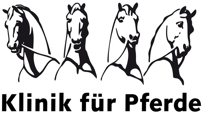 Weiterbildender Studiengang Pferdemedizin An Der FU Berlin Ab 2015