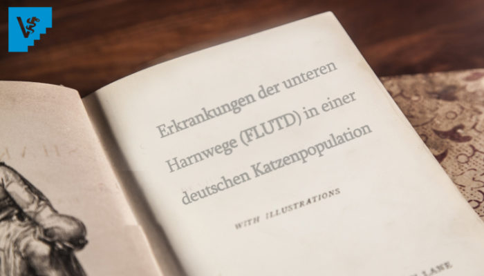 10 Tipps Zur Manuskripterstellung Für Eine Publikation