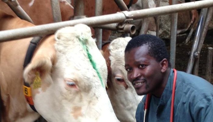 Interview With A Bavarian Bovine Practitioner With African Roots