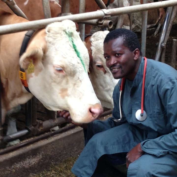 Interview With A Bavarian Bovine Practitioner With African Roots