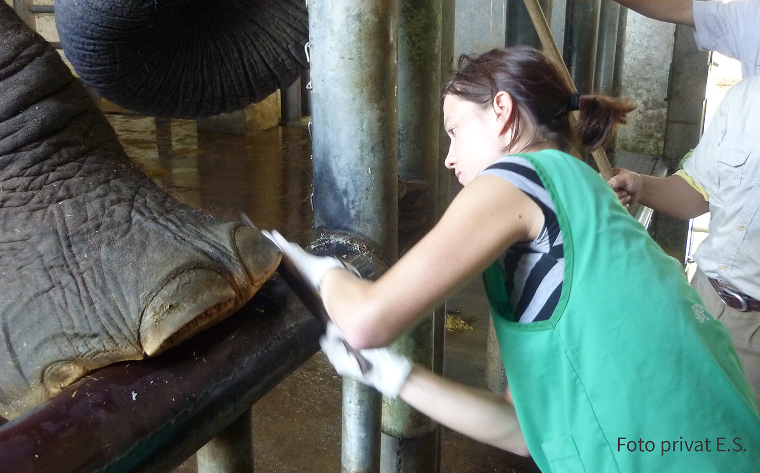 Veti-Studenten Im Ausland: Praktikum In Einem Zoo In Taiwan