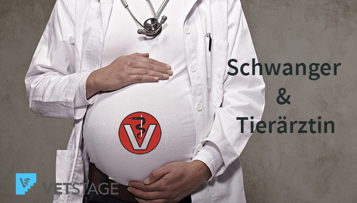 Schwangere In Der Tierarztpraxis Und -klinik: Eine Herausforderung