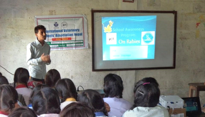 As A Veterinary Student, How Can You Contribute To Public Education On Improving The Welfare Of Stray Animals?