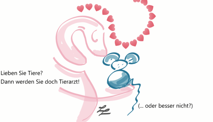 Haben Sie Die Richtigen Persönlichen Kompetenzen, Um Als Tierarzt/ Tierärztin Zu Arbeiten?