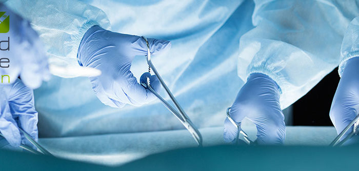 Tierärzte Im Beruf – Mobile Chirurgie Für Kleintierpraxen – Vetmed Service München