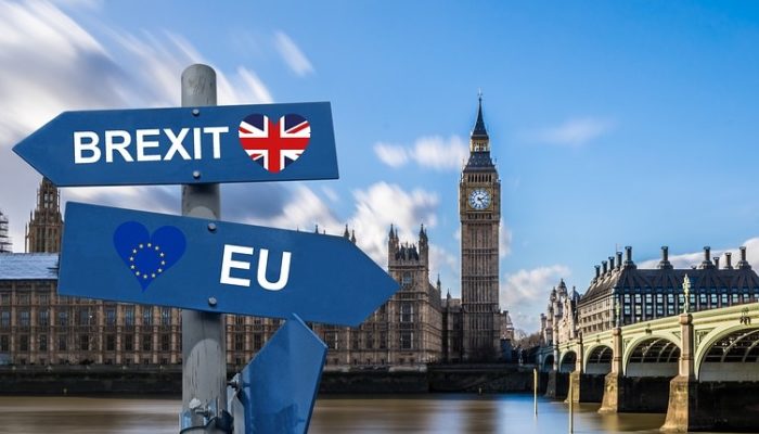 Keep Calm And Brexit – Wie Geht Es Weiter Für Tierärzte Im Brexit?