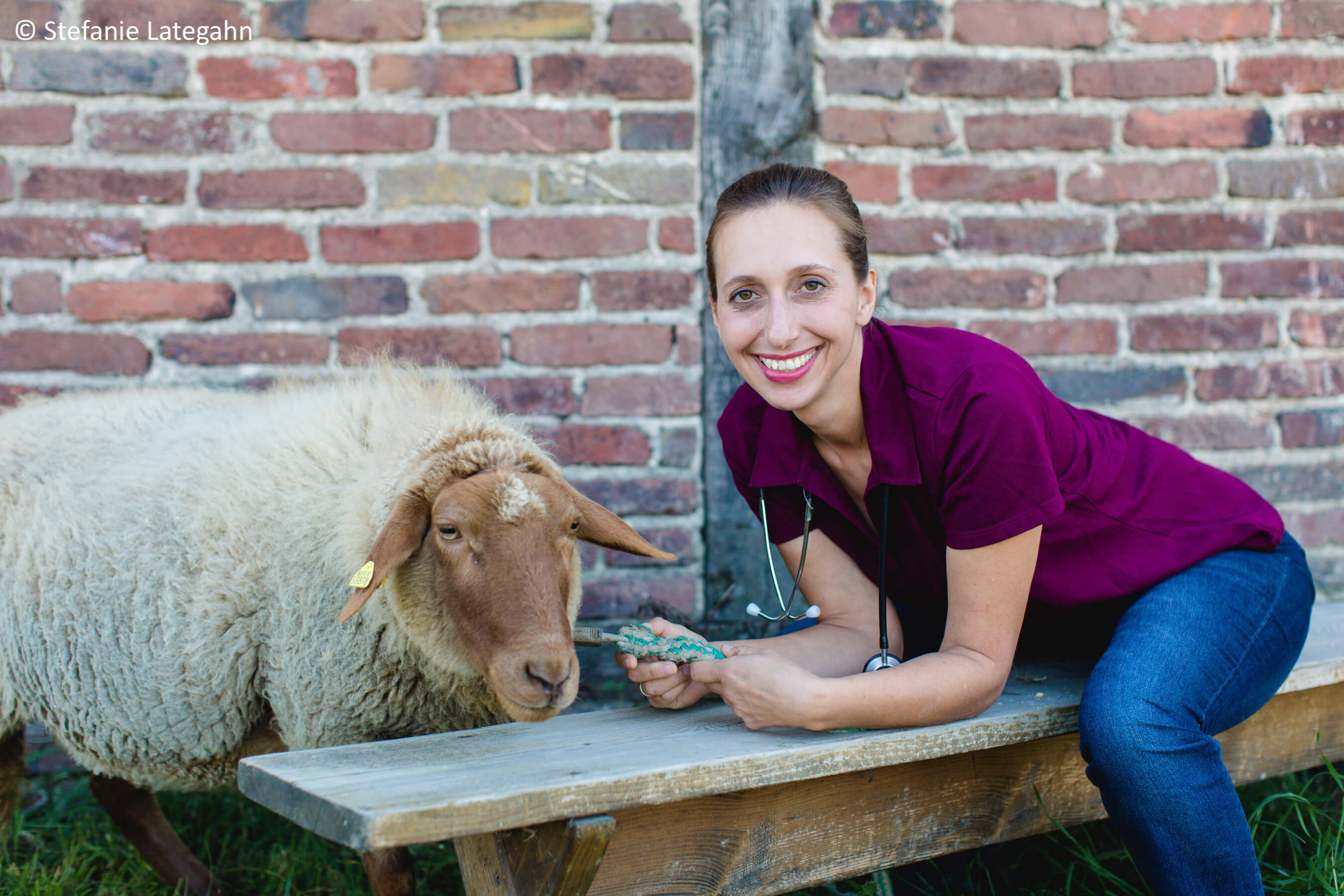 Tierärzte Im Beruf: Tierärztin Und Autorin