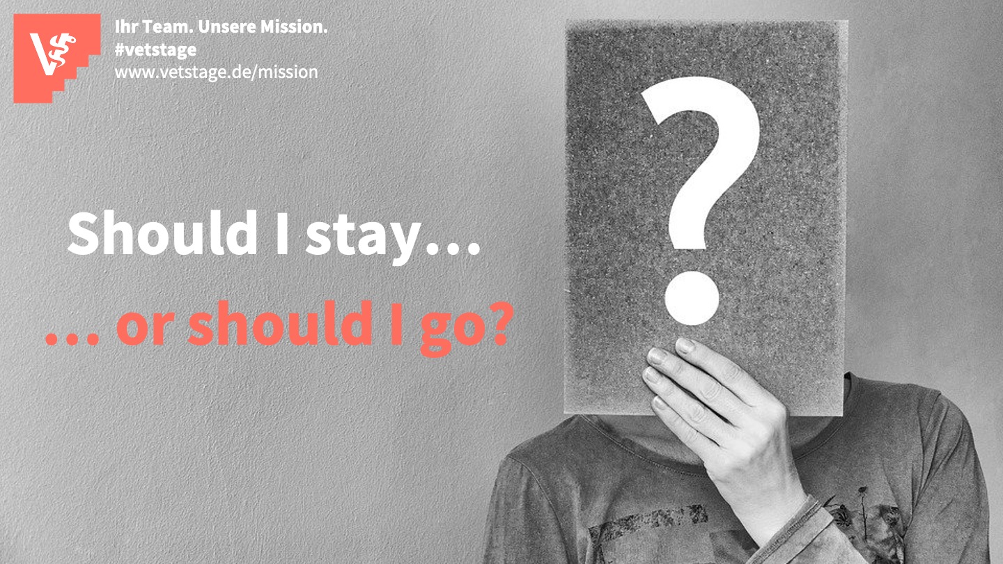 “Should I Stay, Or Should I Go ?“- Mitarbeiter*innen Halten Durch Motivierende Führung