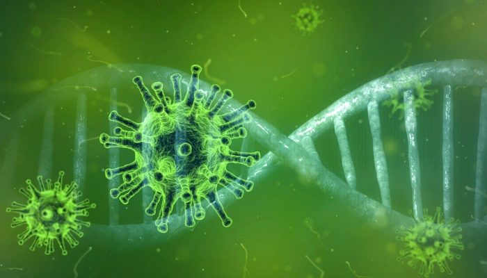 Coronaviren Und Andere Zoonosen – Eine Unterschätzte Gefahr?