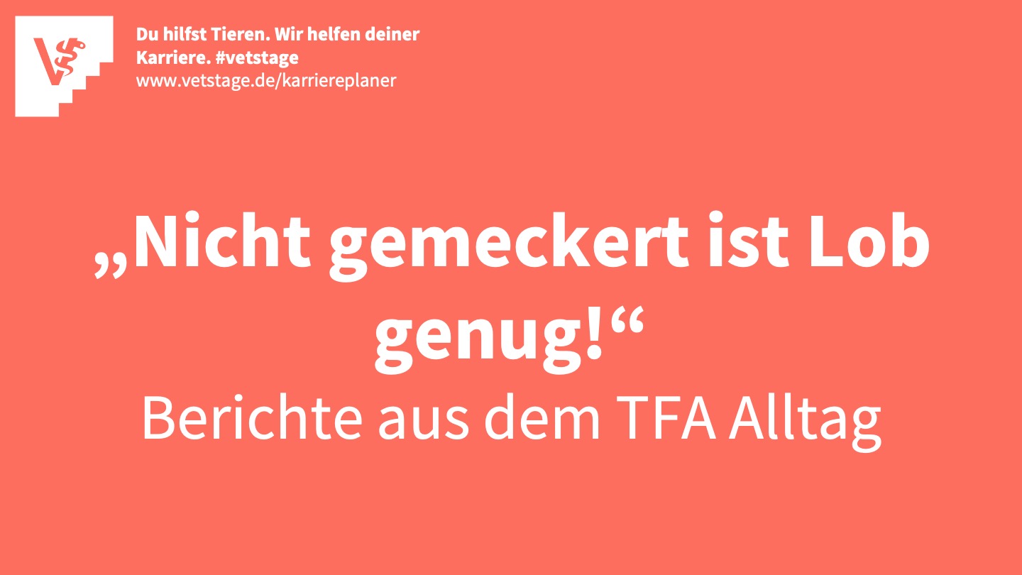 Von Ausgelernten TFA Und Denen, Die Es Werden Wollen