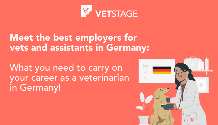Working As A Vet In Germany