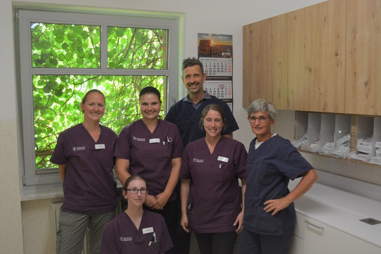 Tierarztpraxis Abbensen GmbH - unsere Vision