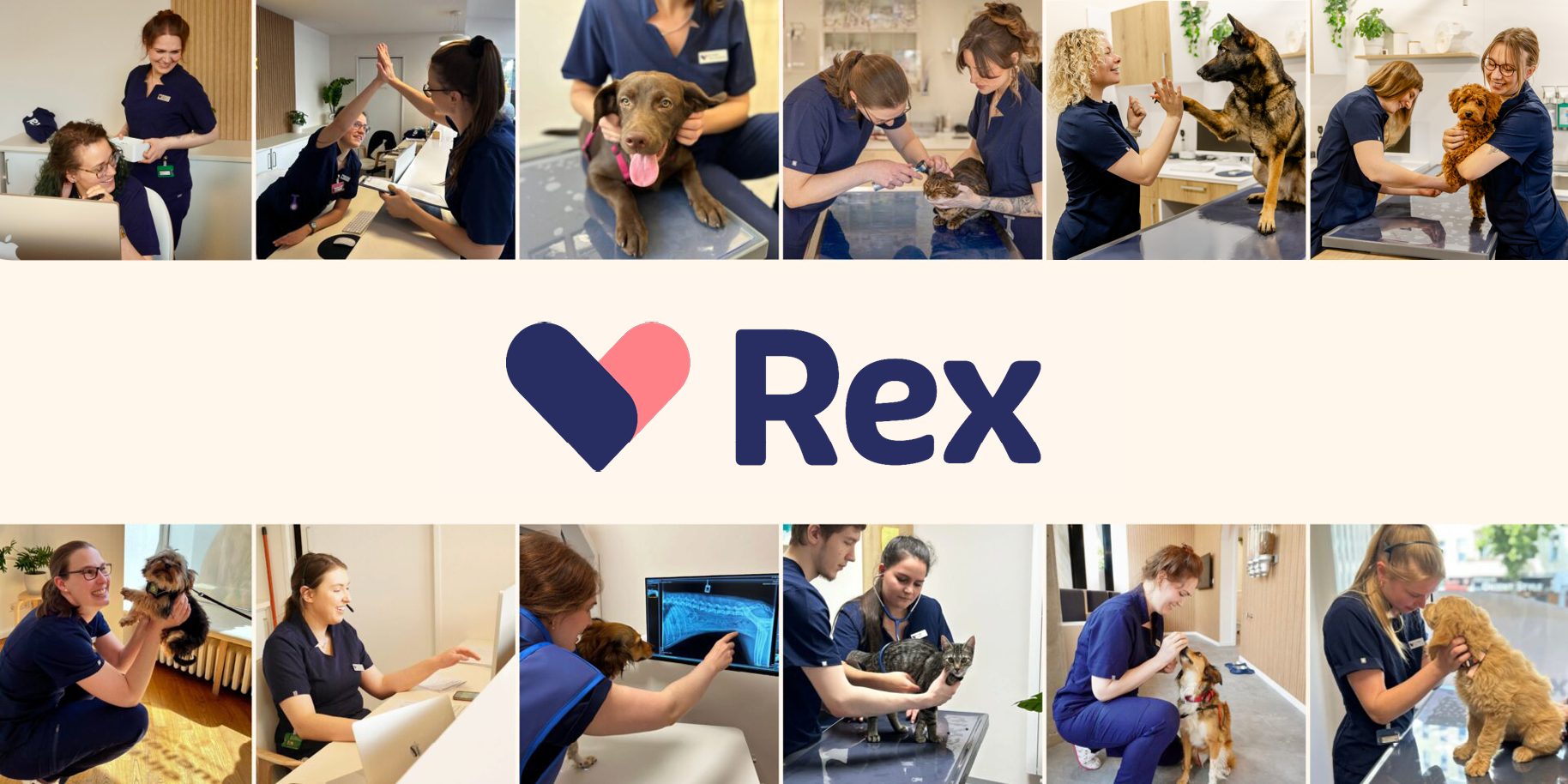 Teaserbild Rex