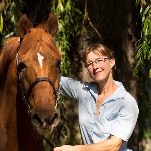 Tierärztliche Praxis für Pferde Dr. Stefanie Höppner