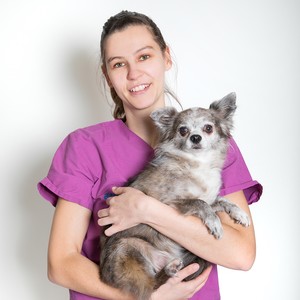Ansprechpartner:in bei Tierarztpraxis aniDOC