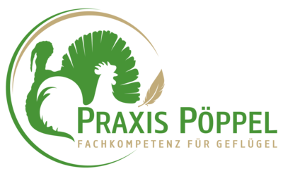 Praxis Pöppel GmbH - Logo